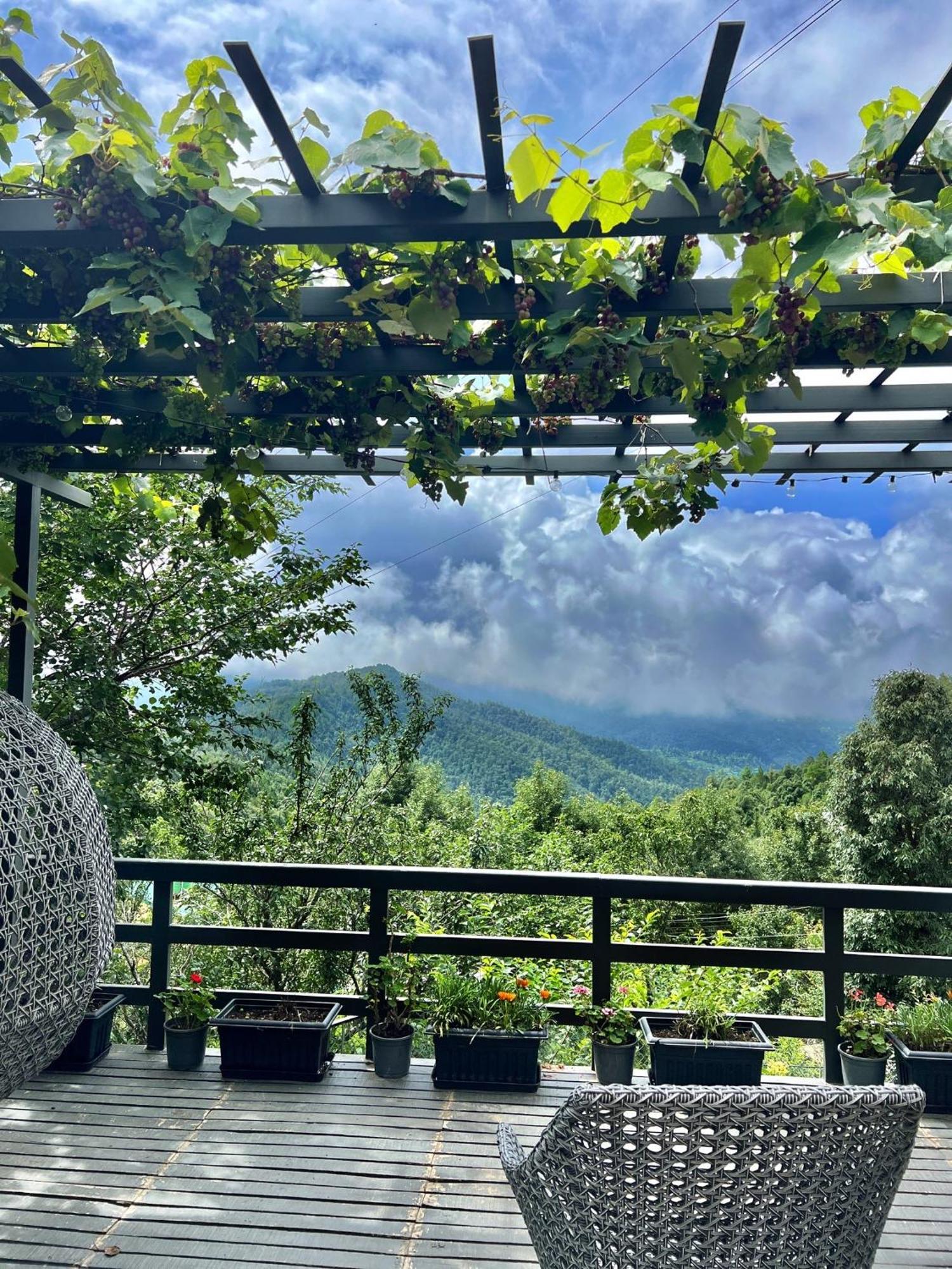 Hotel The Birdcage, Mukteshwar Zewnętrze zdjęcie